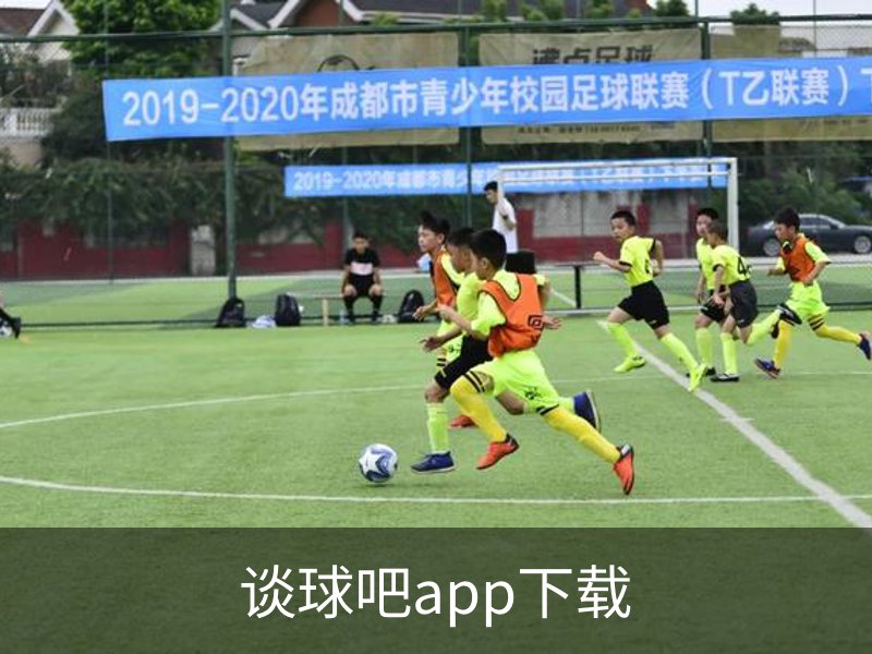 谈球吧app下载概况